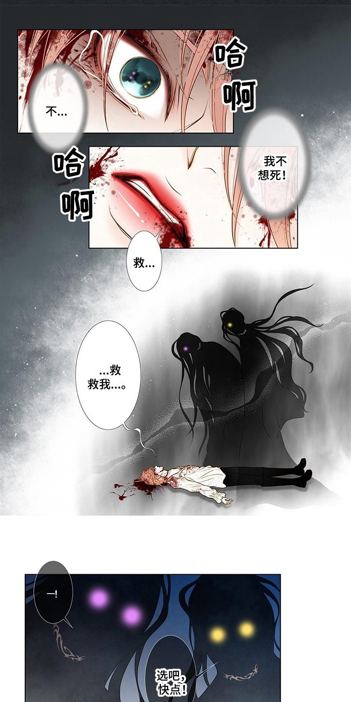 第3章：缘由