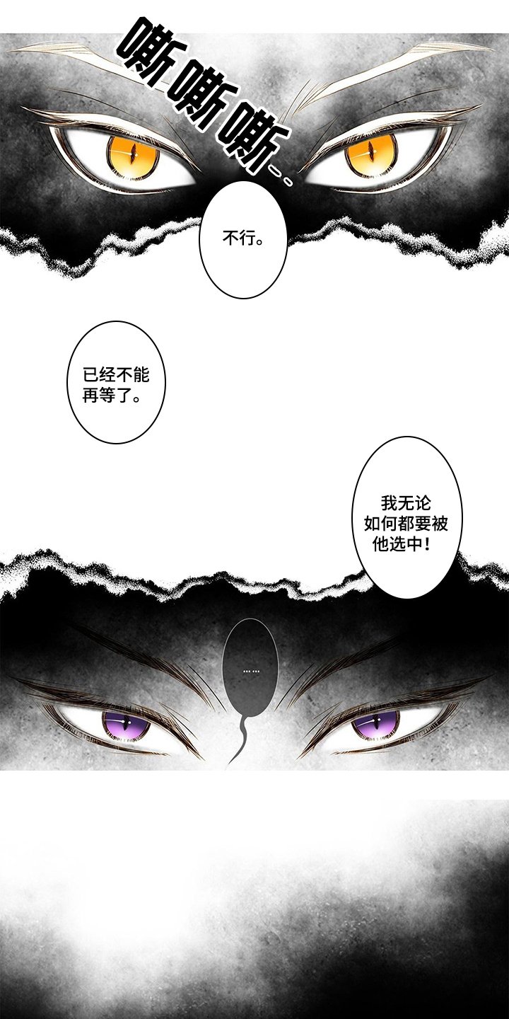 第3章：缘由