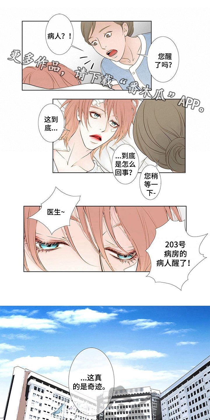 第5章：新经纪人