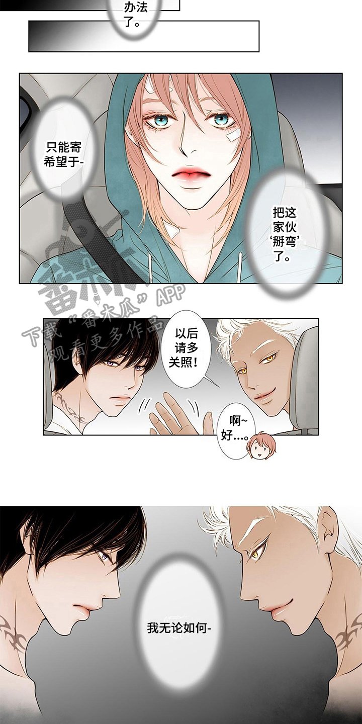 第6章：谩骂