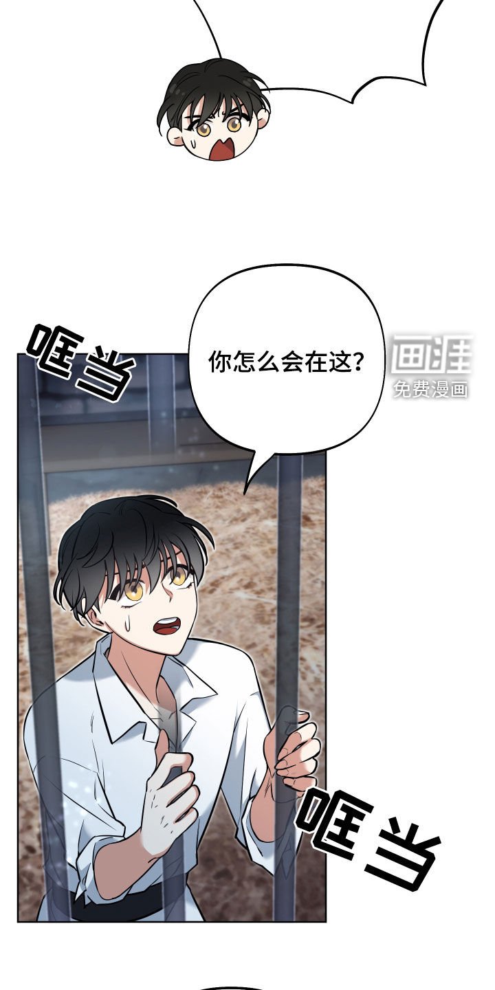 第16章：忏悔祷告
