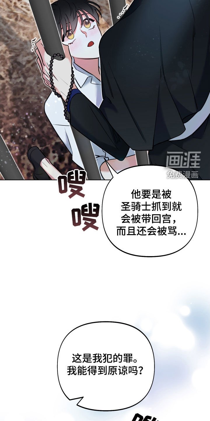 第17章：说服