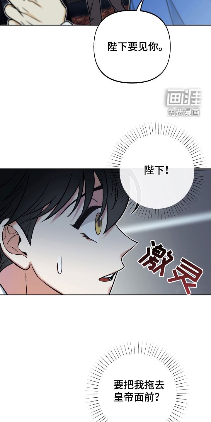 第18章：反转