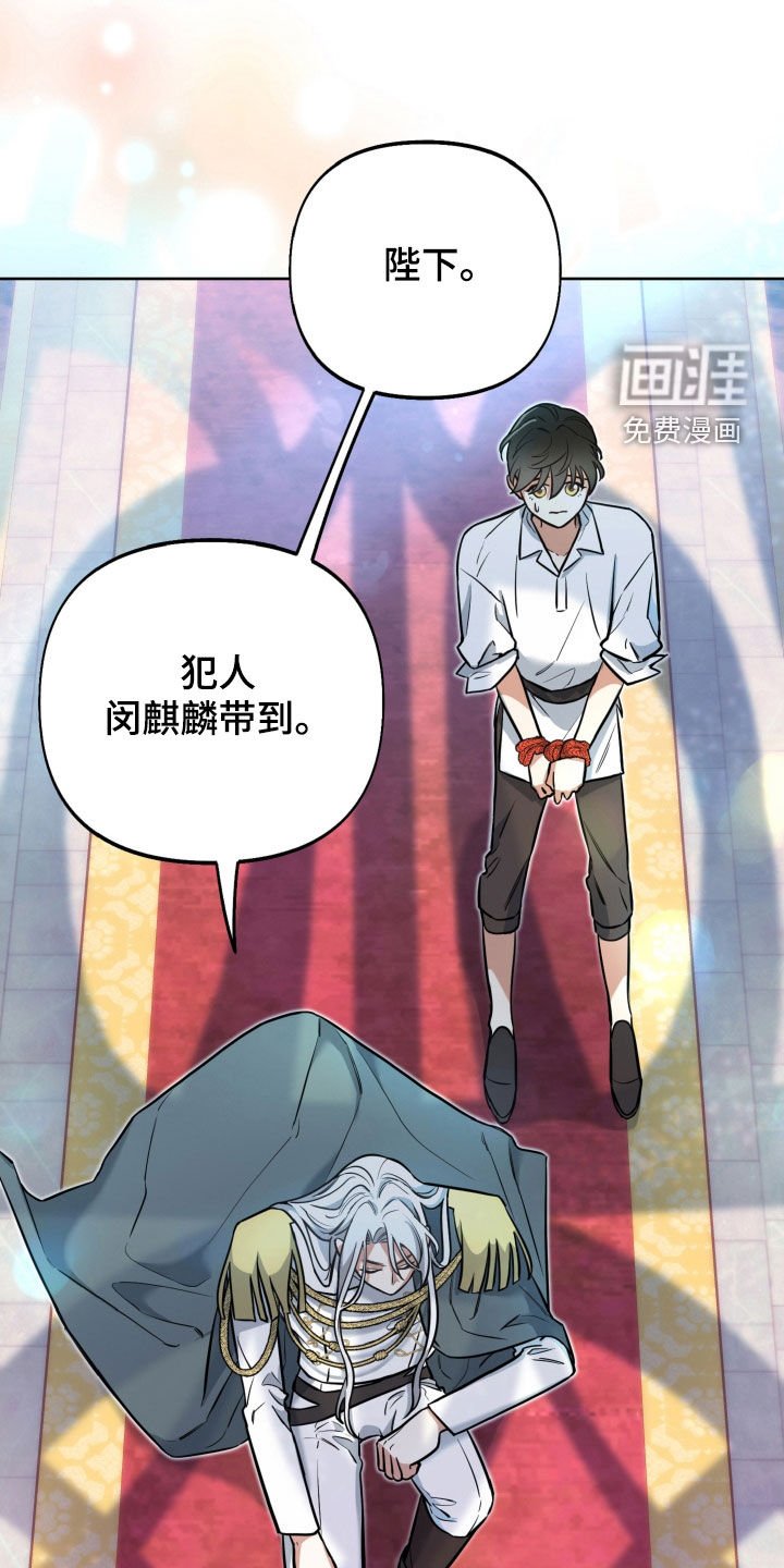第18章：反转