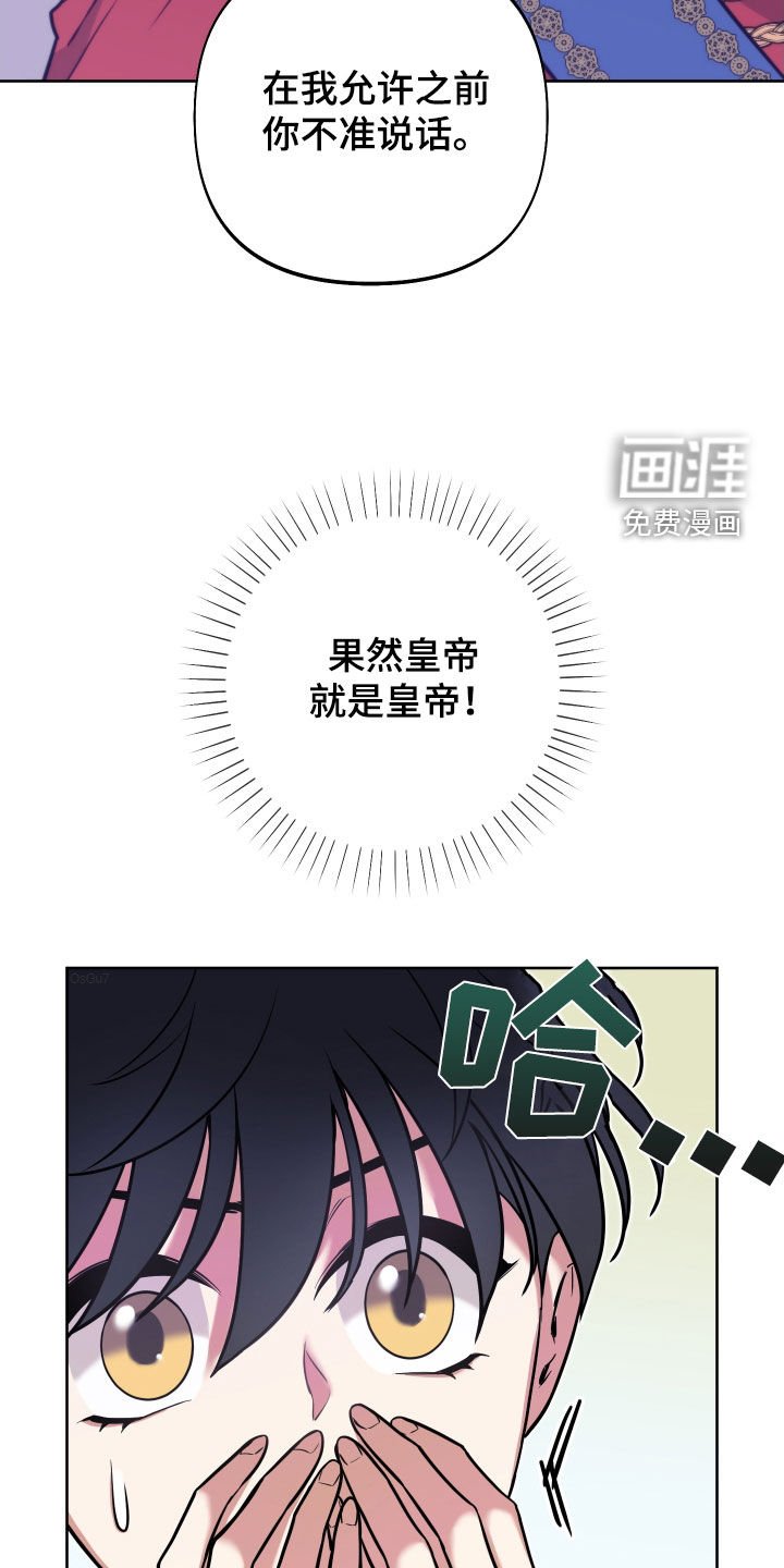 第18章：反转