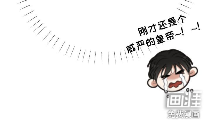 第18章：反转