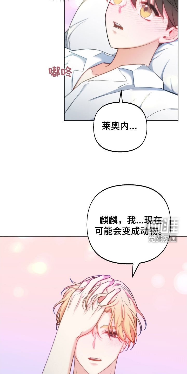 第26章：一定要原谅我
