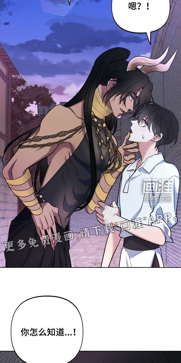 第29章：太危险了