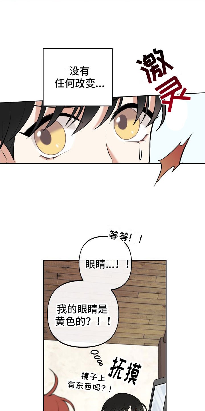 第3章：独角兽