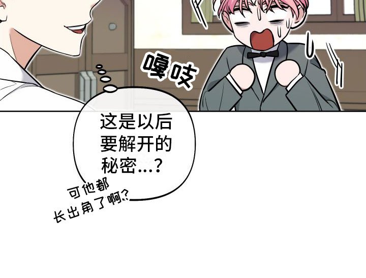 第3章：独角兽