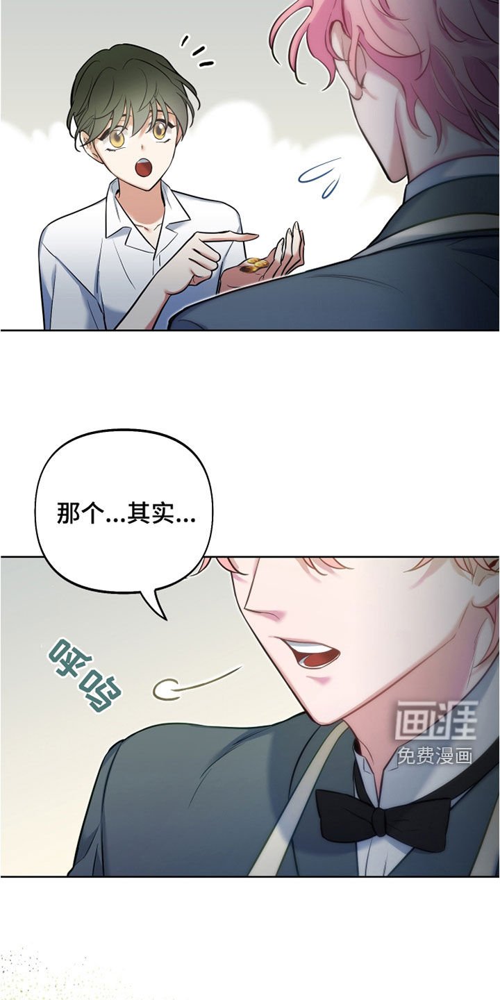 第31章：独角兽王子