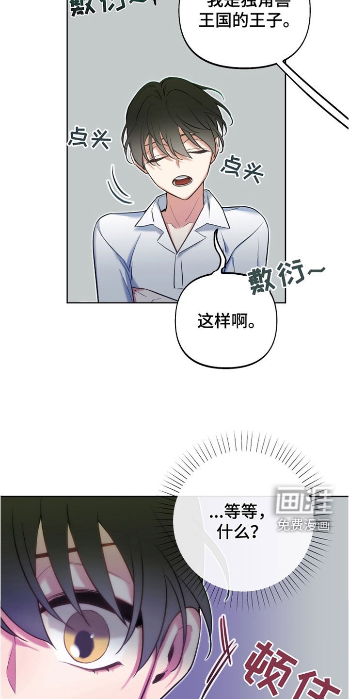 第31章：独角兽王子