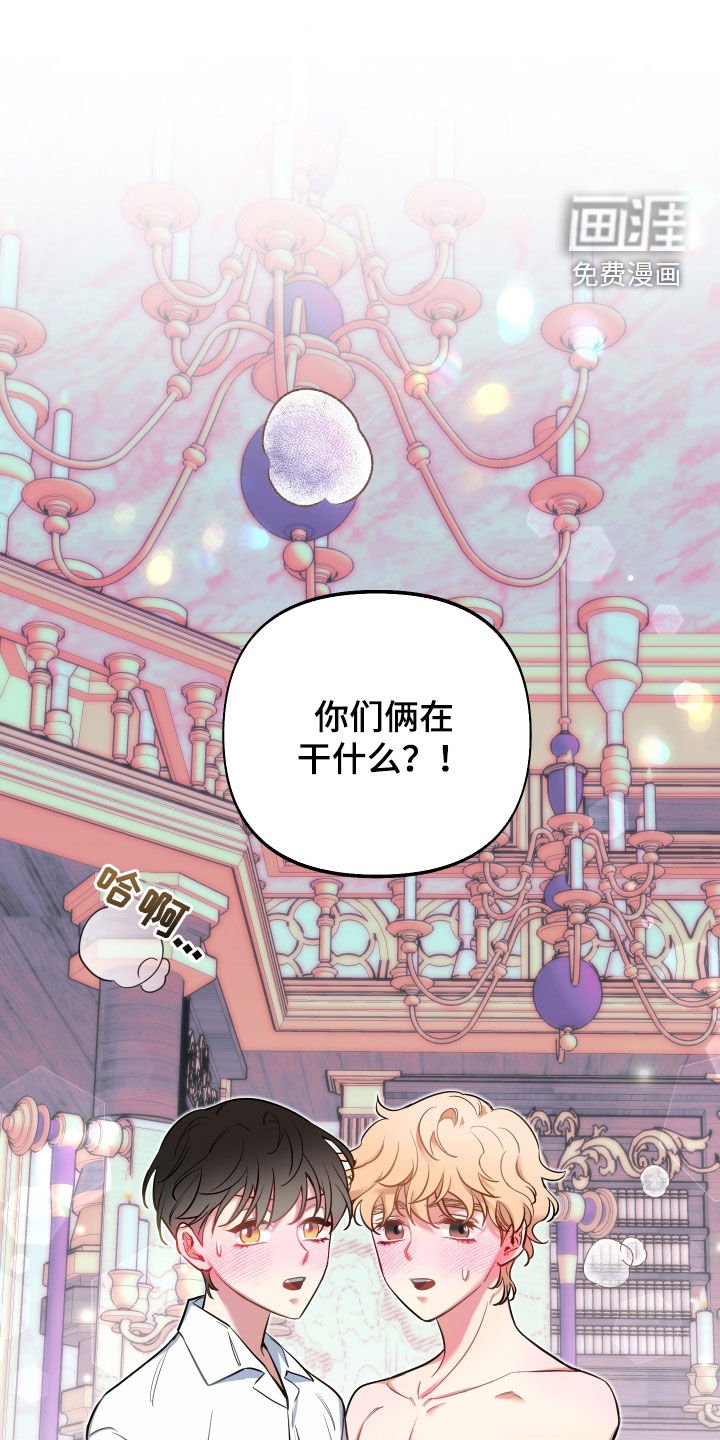 第37章：半价