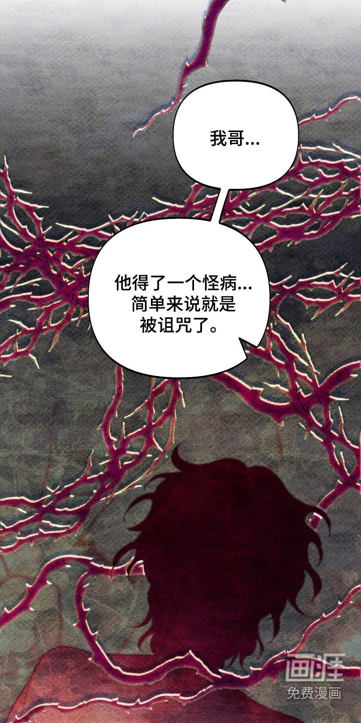 第37章：半价