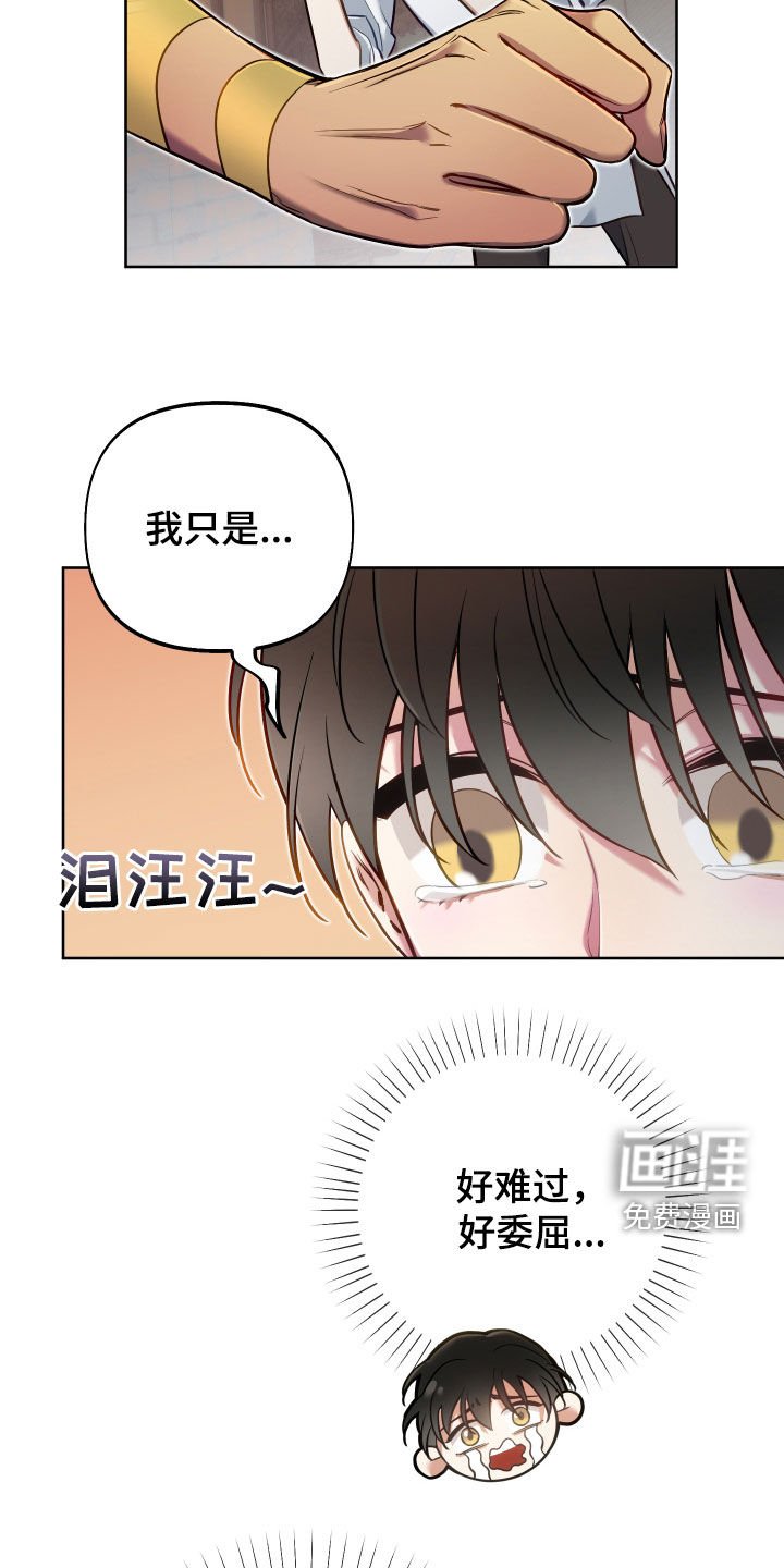 第41章：下跪