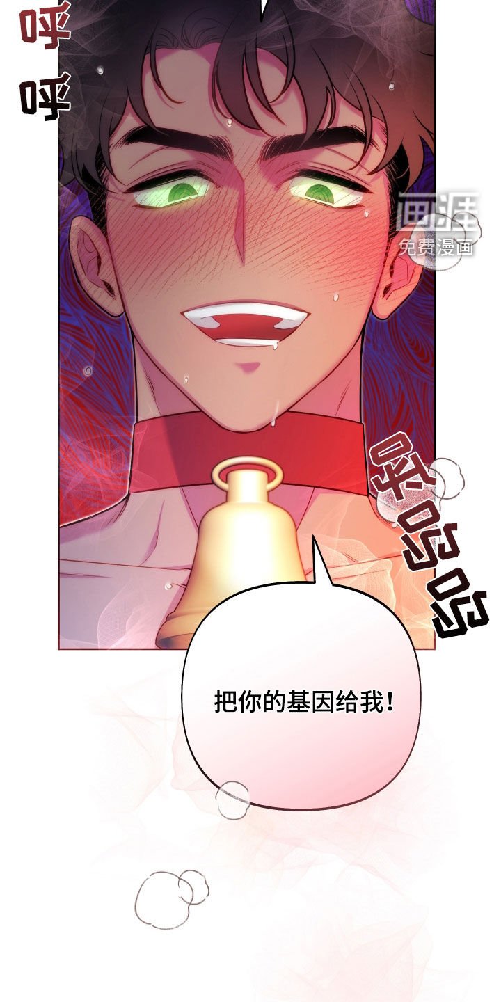 第56章：【第二季】随机惊喜