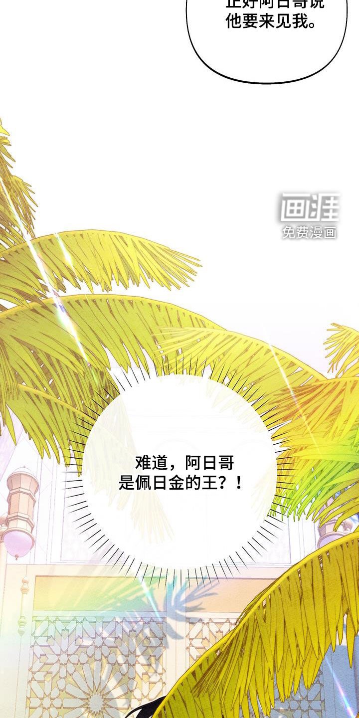 第75章：【第二季】异国王妃