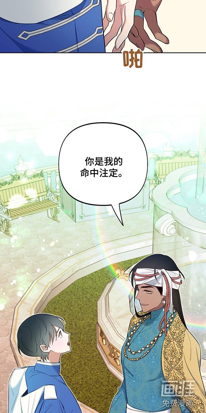 第78章：【第二季】理想型