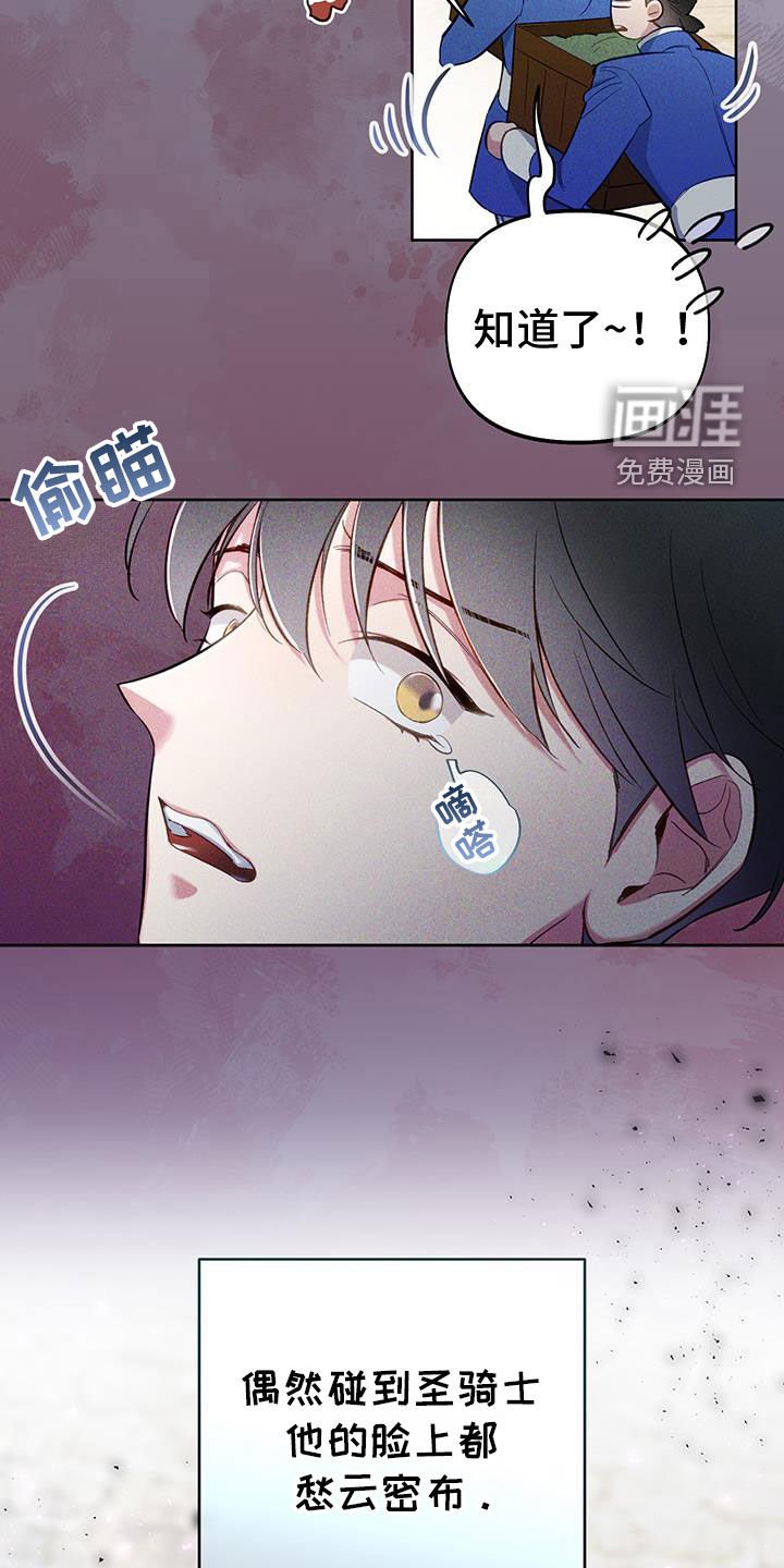 第96章：【第二季】你喜欢我吗