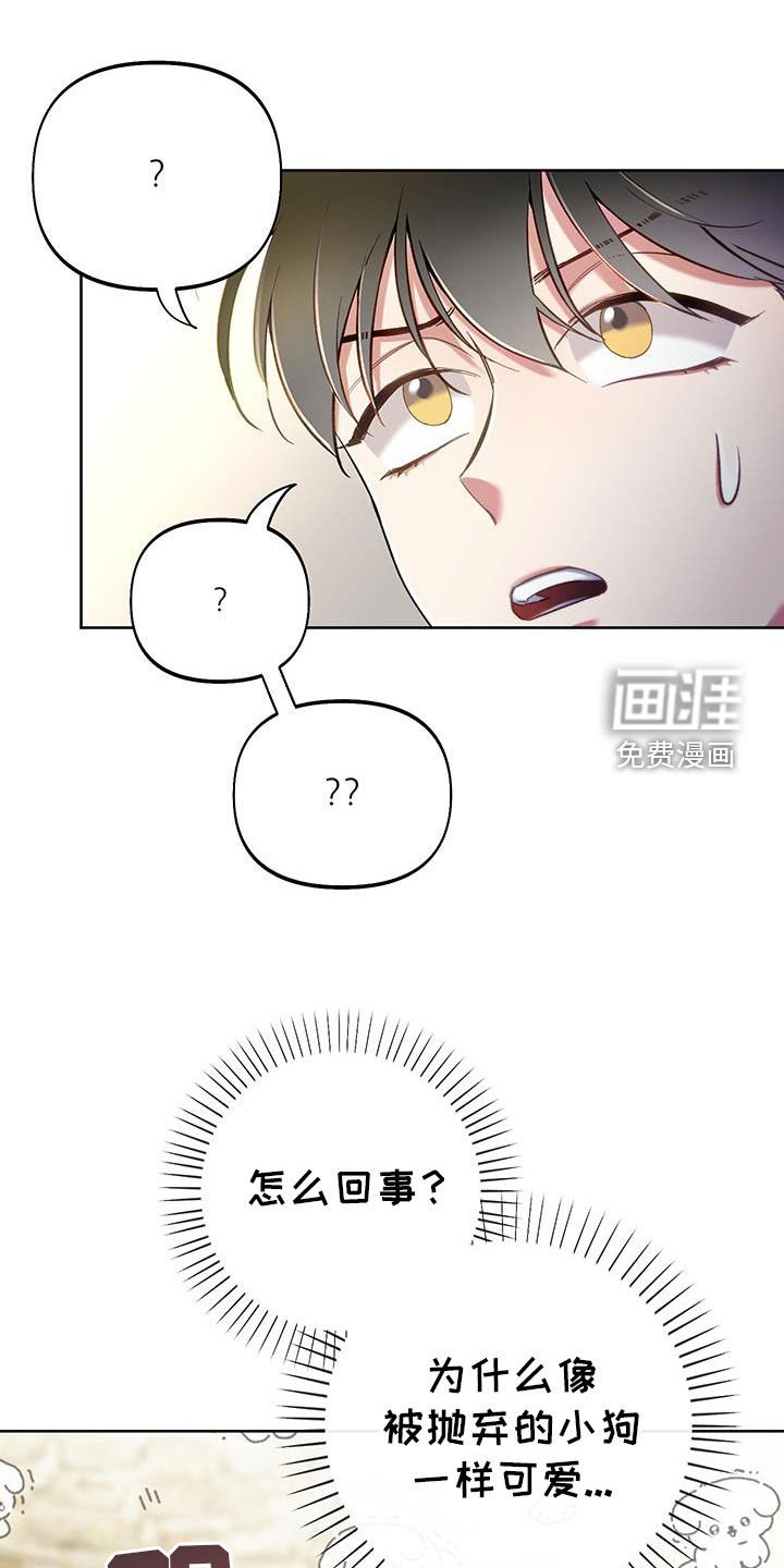 第96章：【第二季】你喜欢我吗
