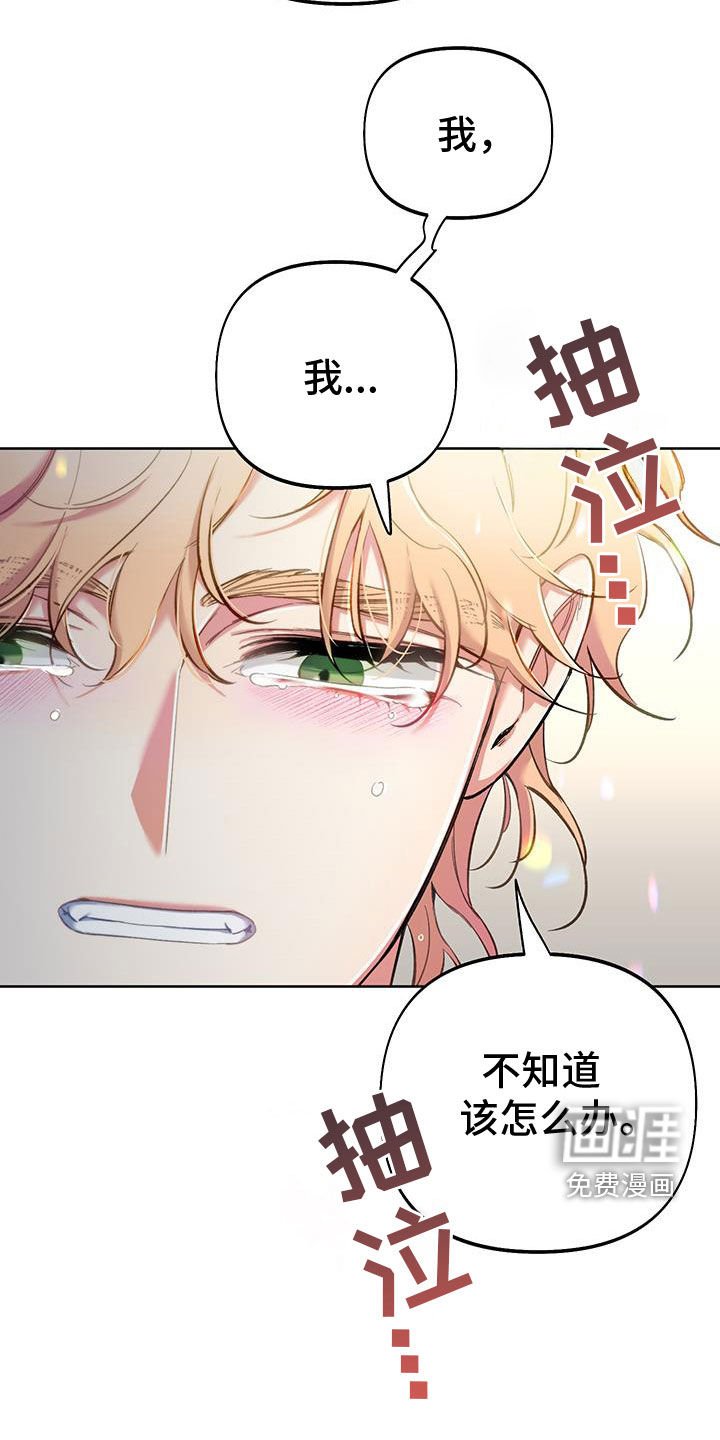 第96章：【第二季】你喜欢我吗