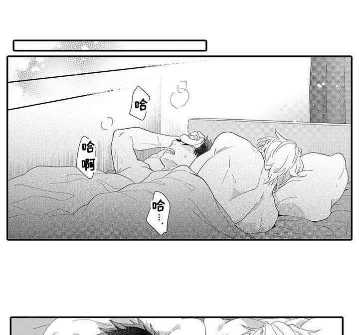 第19章：如愿以偿