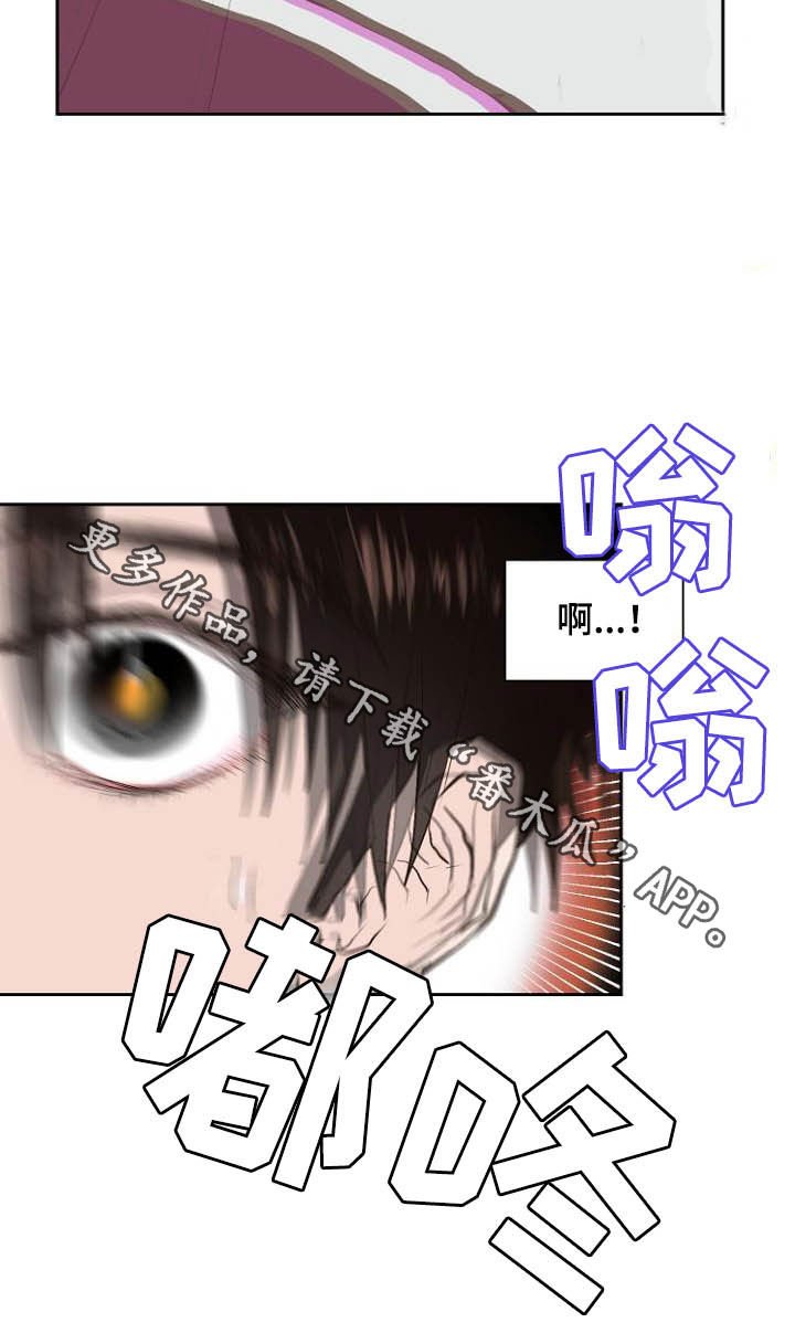 第11章：弃车保帅