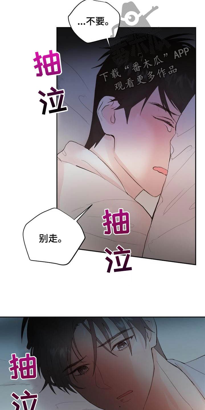 第15章：回不去了