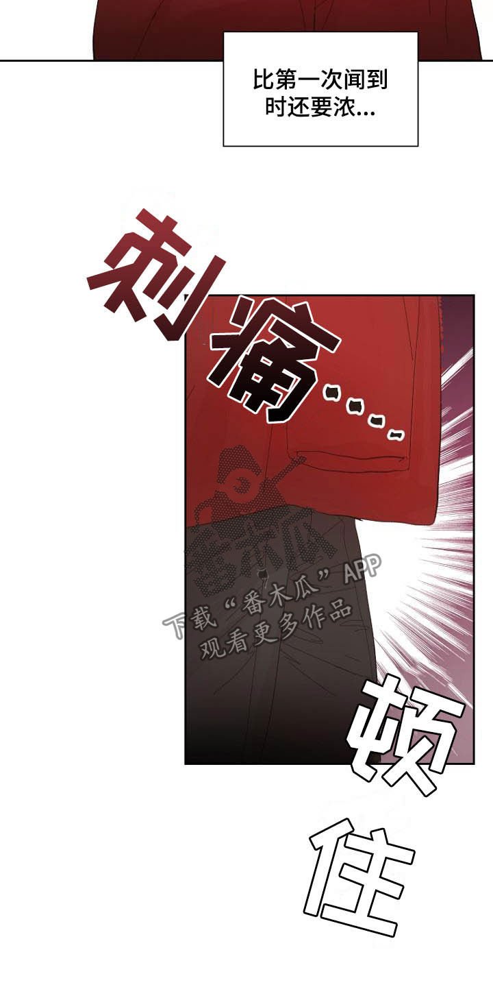第15章：回不去了