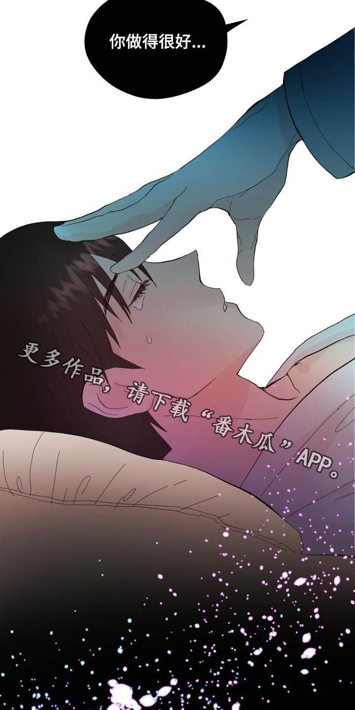 第16章：诚实面对