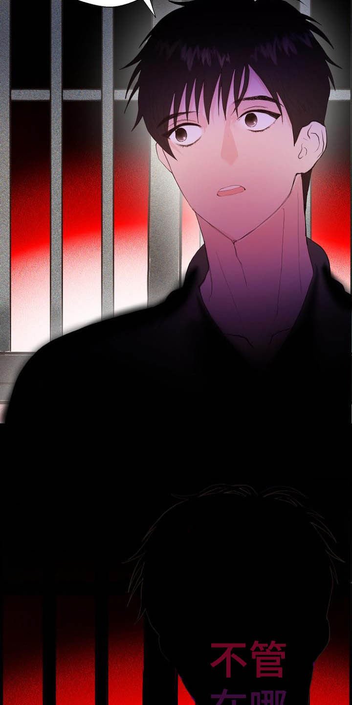 第17章：操控梦境