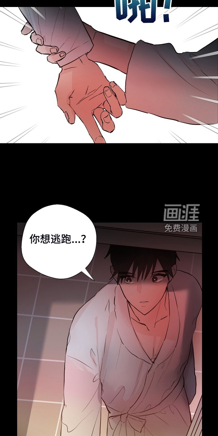 第26章：拿回日记