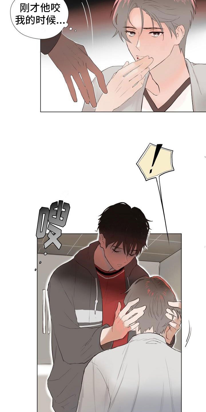 第3章：连接上了