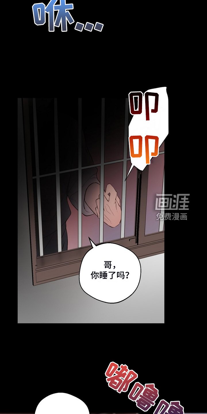 第30章：说实话