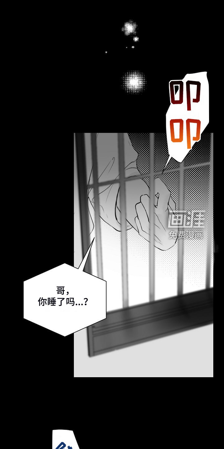 第30章：说实话
