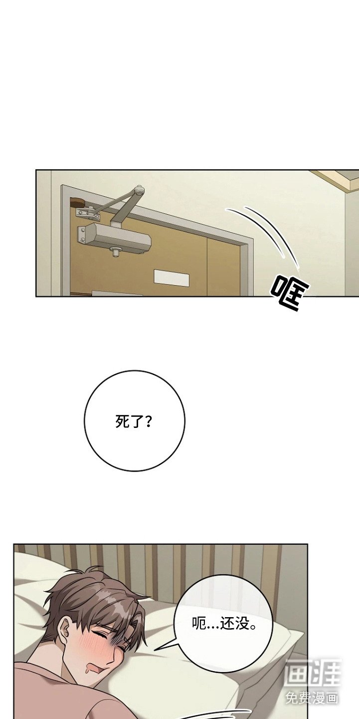第13章：诱人