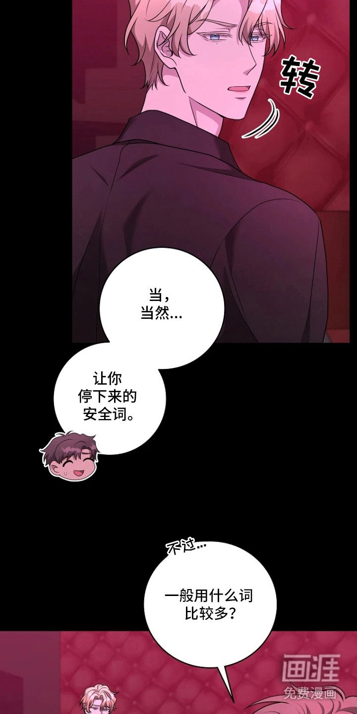 第16章：安全词