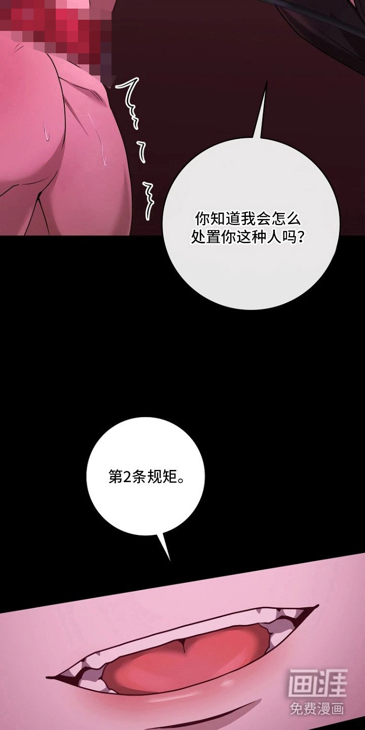 第17章：规矩