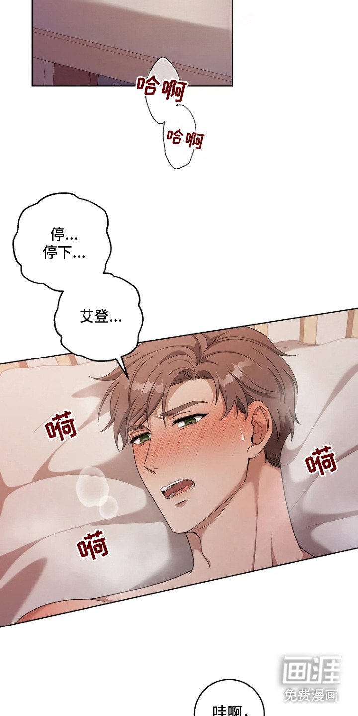 第5章：条件