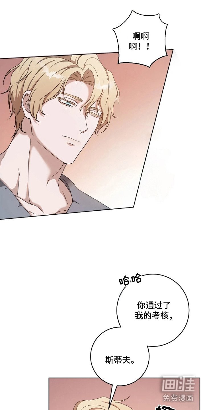 第5章：条件