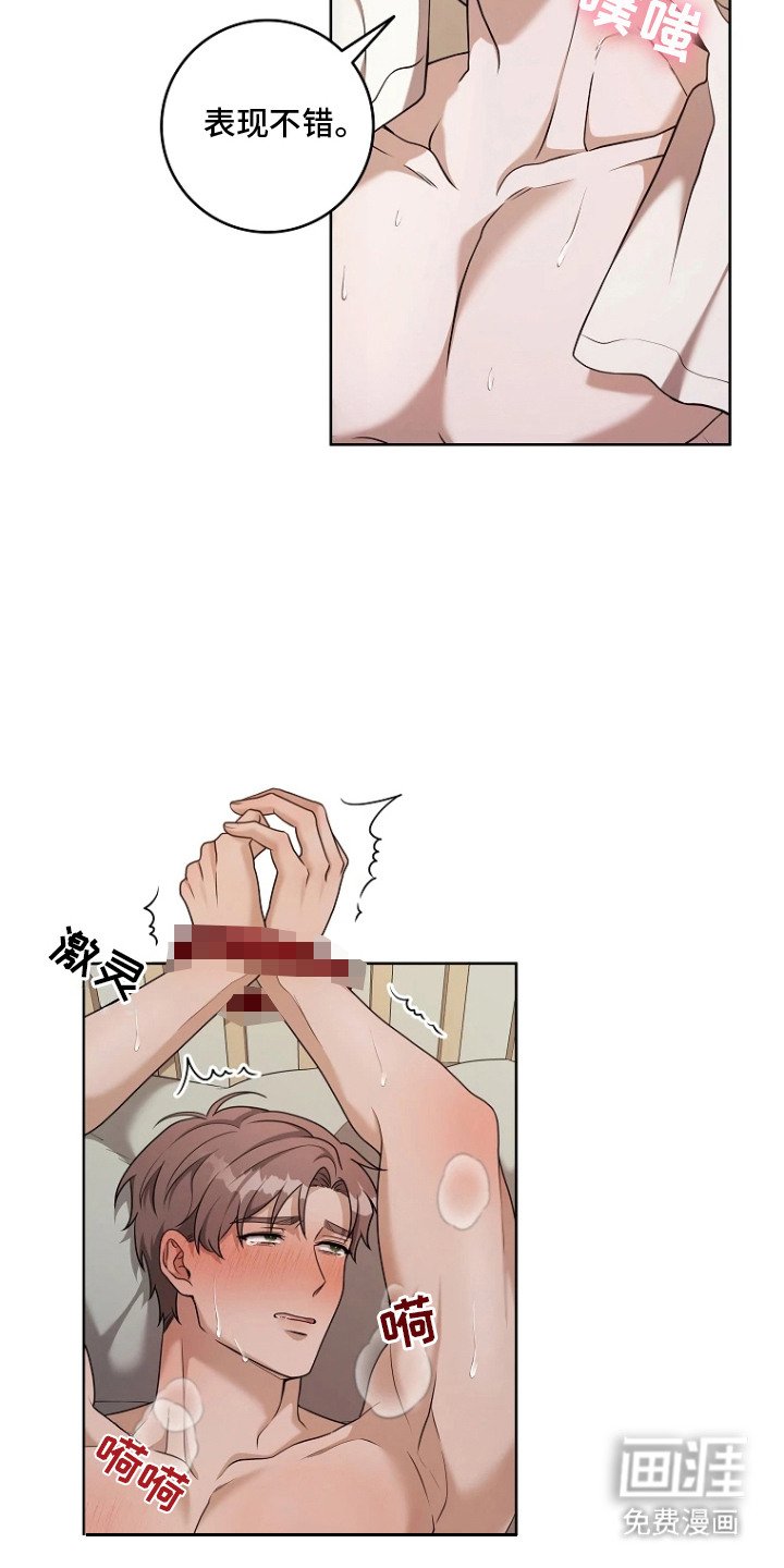 第7章：明知故问