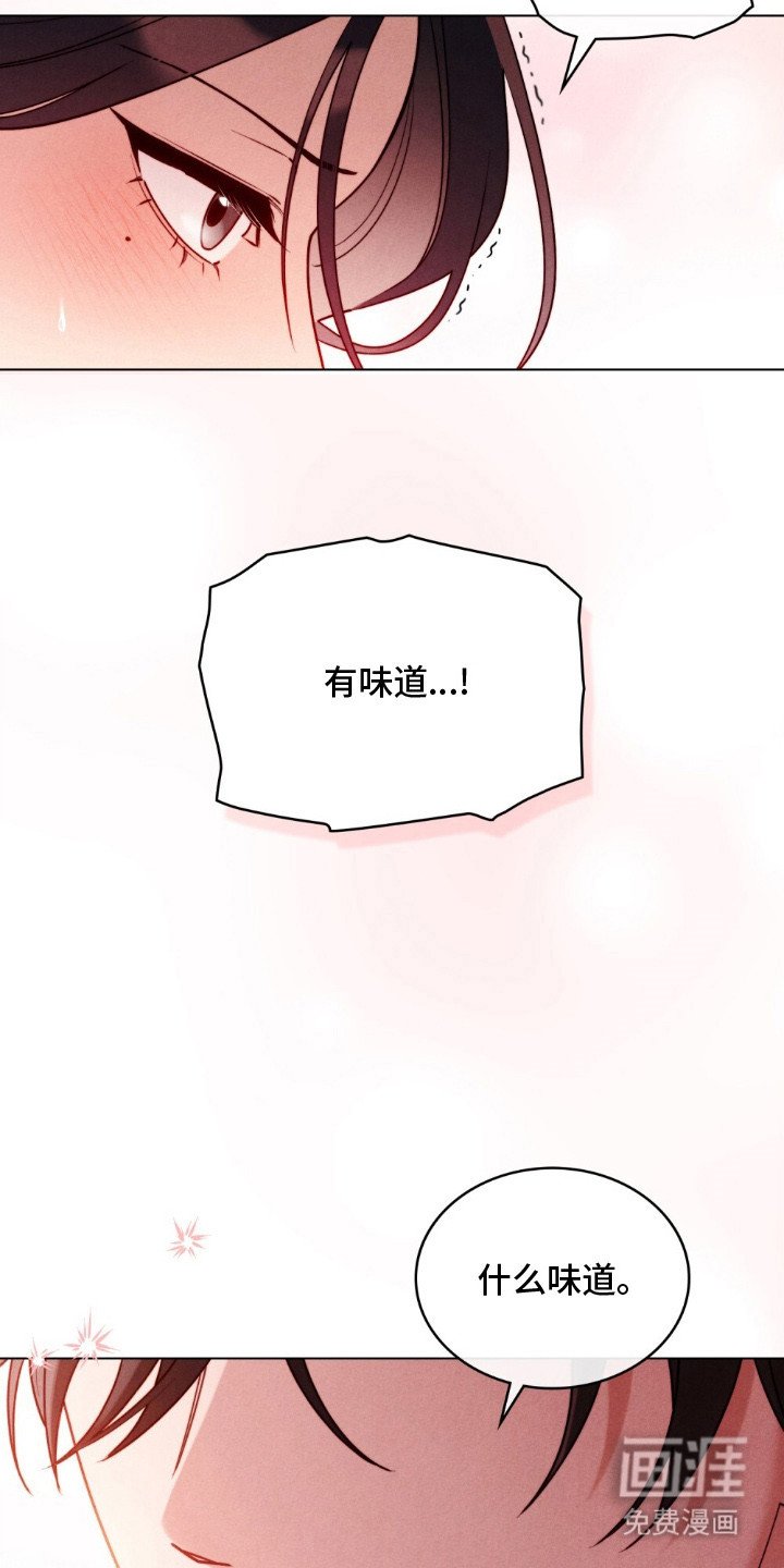 第1章：香味