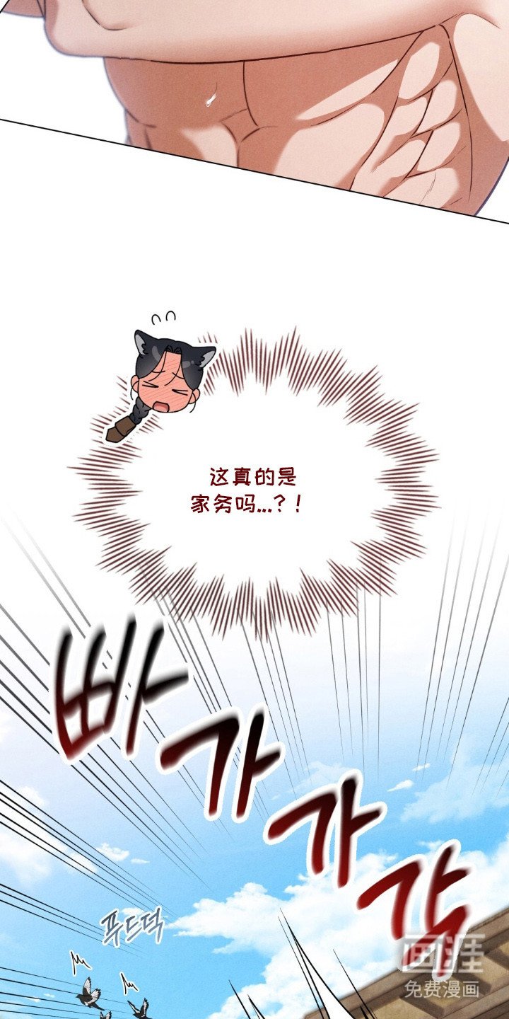第13章：监督