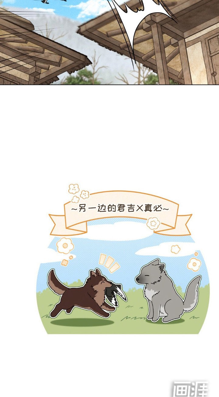 第13章：监督