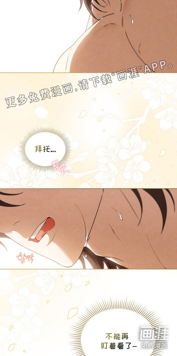 第14章：盯着看