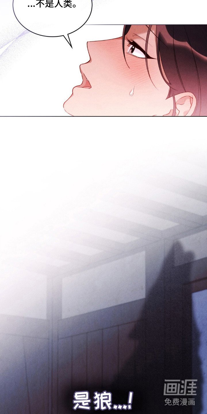 第2章：半人半兽