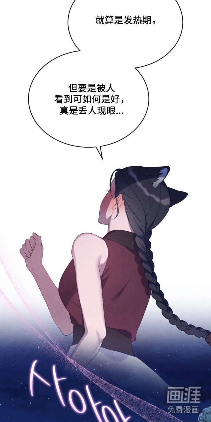 第3章： 特别时期