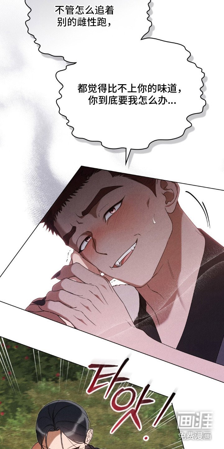 第4章：觊觎
