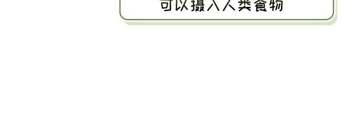 第4章：觊觎
