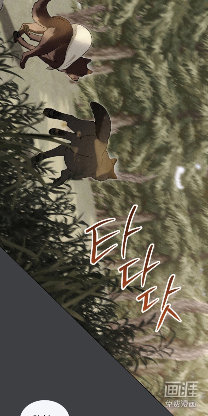第8章：巧合